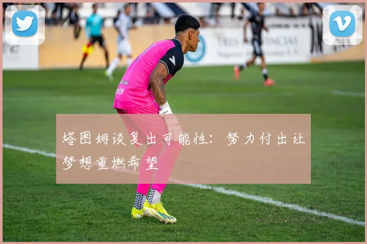 塔图姆谈复出可能性：努力付出让梦想重燃希望
