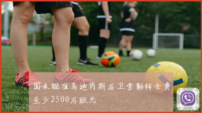国米瞄准乌迪内斯后卫索勒转会费至少2500万欧元