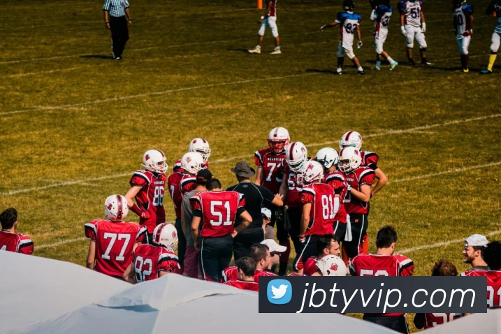 九博体育平台生态图